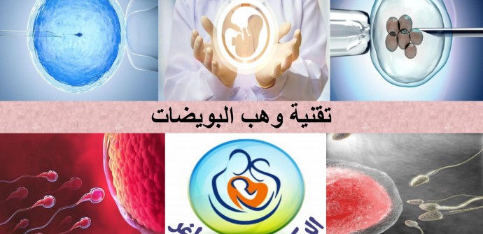 Egg donation, Egg donation Lebanon, IVF + donor eggs