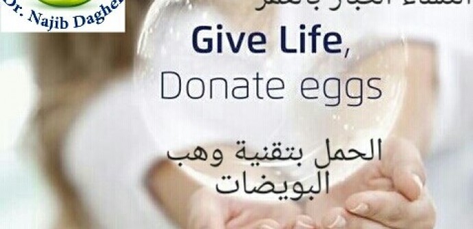 Egg donation, Egg donation in Lebanon